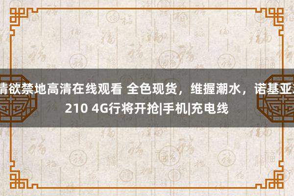 情欲禁地高清在线观看 全色现货，维握潮水，诺基亚3210 4G行将开抢|手机|充电线