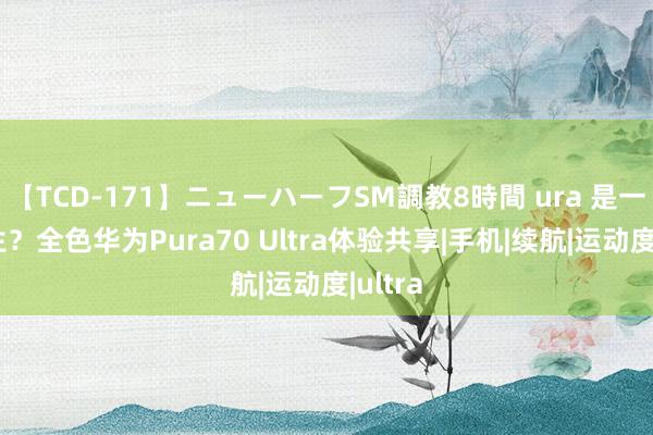 【TCD-171】ニューハーフSM調教8時間 ura 是一次重生？全色华为Pura70 Ultra体验共享|手机|续航|运动度|ultra