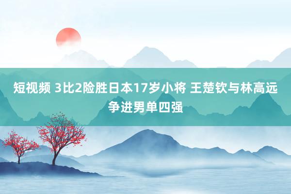 短视频 3比2险胜日本17岁小将 王楚钦与林高远争进男单四强