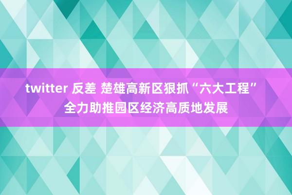 twitter 反差 楚雄高新区狠抓“六大工程”  全力助推园区经济高质地发展