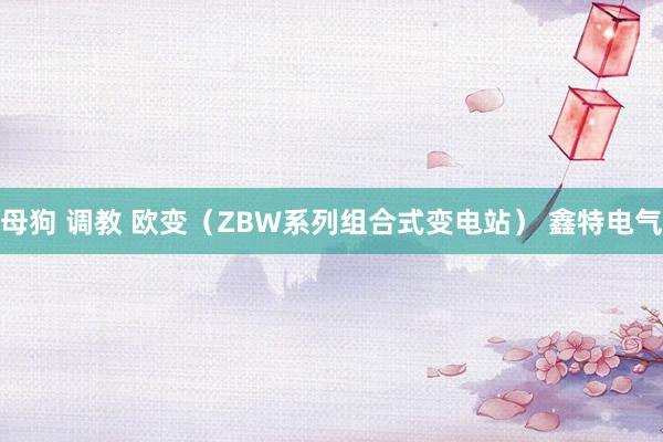 母狗 调教 欧变（ZBW系列组合式变电站） 鑫特电气