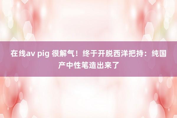 在线av pig 很解气！终于开脱西洋把持：纯国产中性笔造出来了