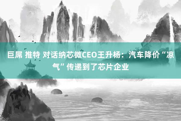 巨屌 推特 对话纳芯微CEO王升杨：汽车降价“凉气”传递到了芯片企业