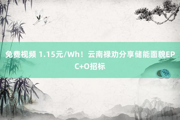 免费视频 1.15元/Wh！云南禄劝分享储能面貌EPC+O招标